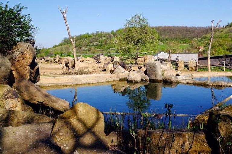 Dobrovolnický projekt pokračoval výletem do ZOO v Praze