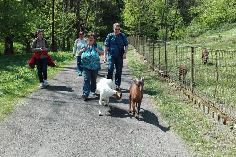 Výlet do Opárenského údolí
