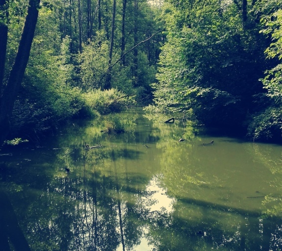 Dovolená v Úštěku 2017