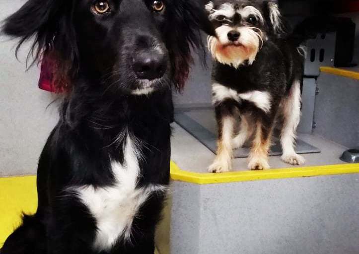 S dobrovolníkem Tomášem na Sněžník