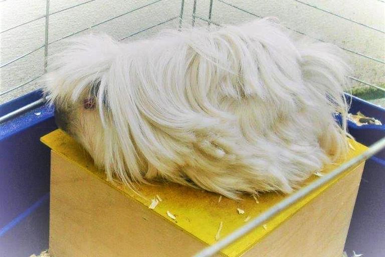 Jaro v chráněném bydlení v Terezíně