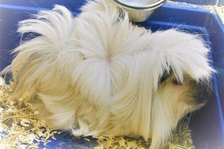 Jaro v chráněném bydlení v Terezíně