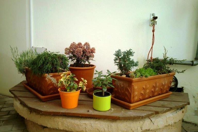 Jaro v chráněném bydlení v Terezíně