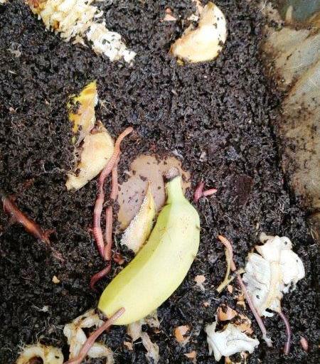 Jaro v chráněném bydlení v Terezíně