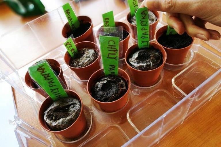 Jaro v chráněném bydlení v Terezíně