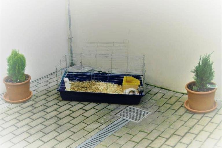 Jaro v chráněném bydlení v Terezíně