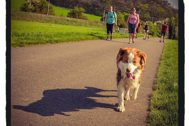 Trénink na pochod Praha-Prčice