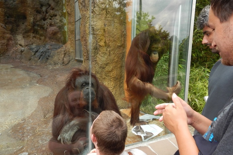 Návštěva Zoo v Ústí nad Labem