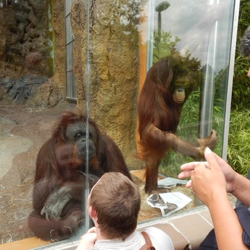 Návštěva Zoo v Ústí nad Labem