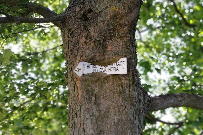 Chráněné bydlení na dovolené 2018