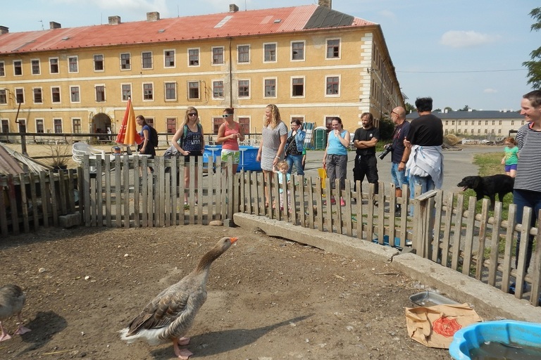 EXKURZE ZA HOSPODÁŘSKÝMI ZVÍŘATY