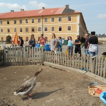 Exkurze za hospodářskými zvířaty