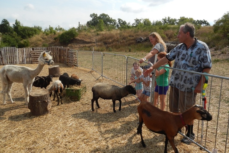 EXKURZE ZA HOSPODÁŘSKÝMI ZVÍŘATY
