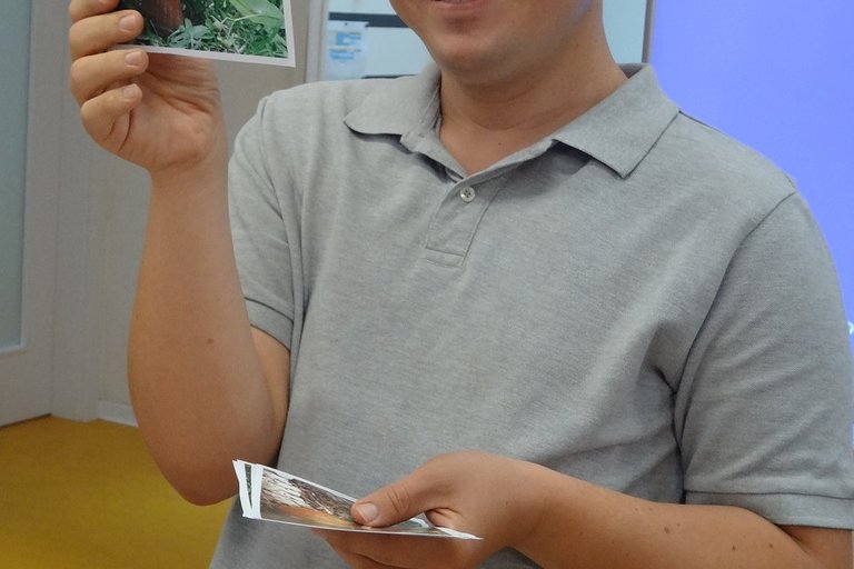 V lese, lese zeleném...