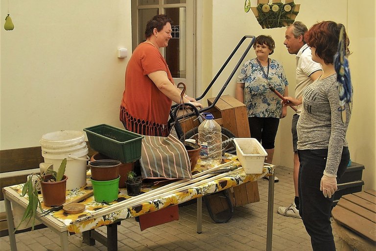 Jaro v chráněném bydlení