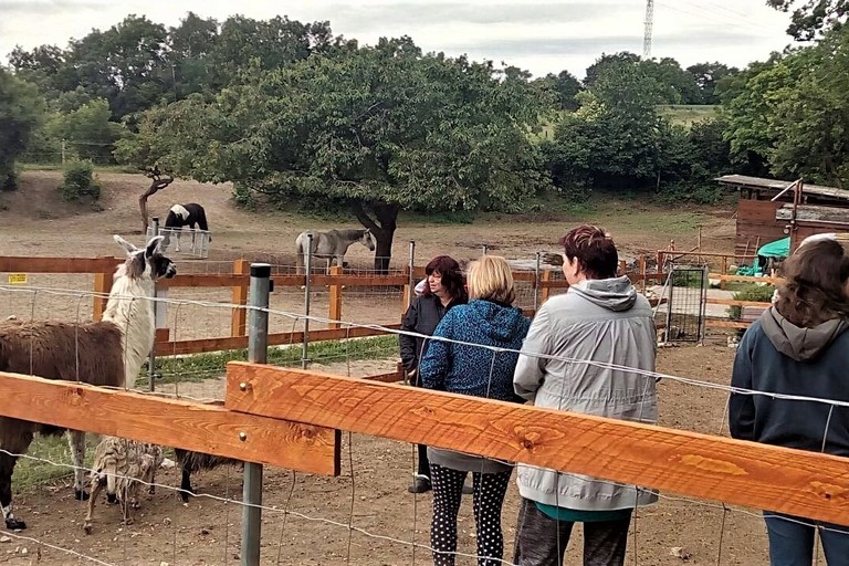 Víkend v Třebívlicích