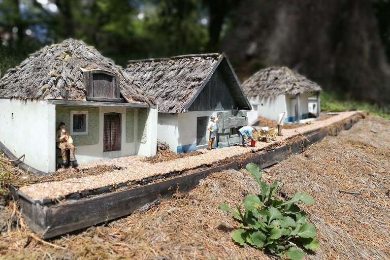 Dovolená chráněného bydlení 2019