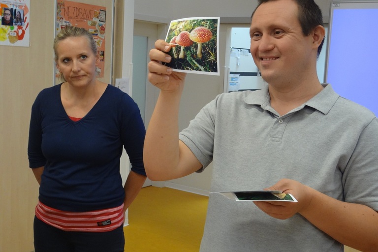 V lese, lese zeleném...