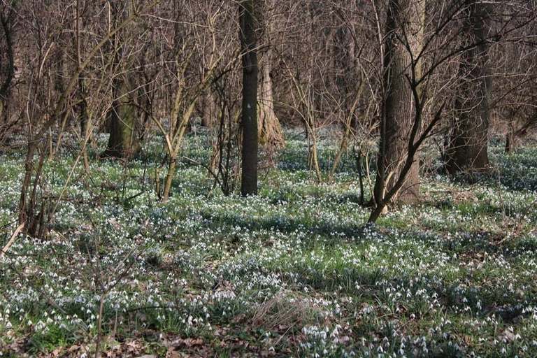 Březen ve volnočasovém klubu