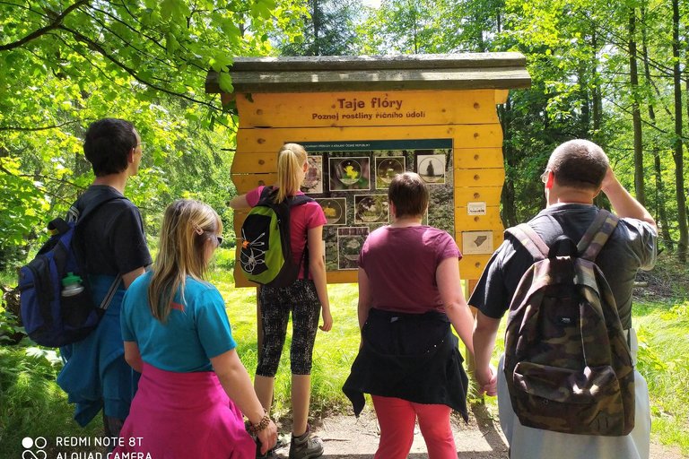 Letní dovolená s dobrovolníky 2020