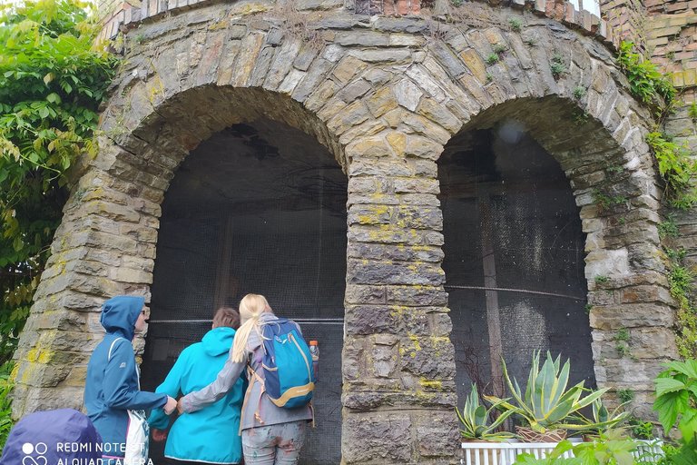 Dovolená s dobrovolníky 2020