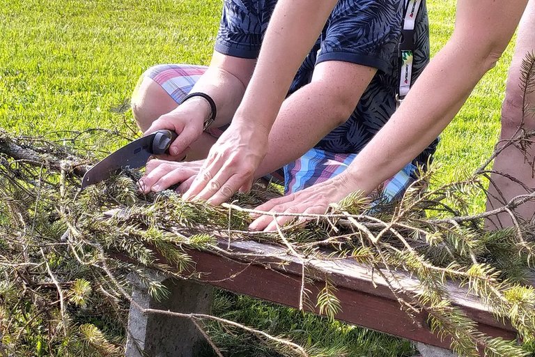 Dovolená s dobrovolníky 2020