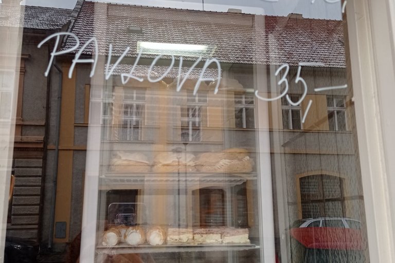 Litoměřická Diakonie s covidem v zádech