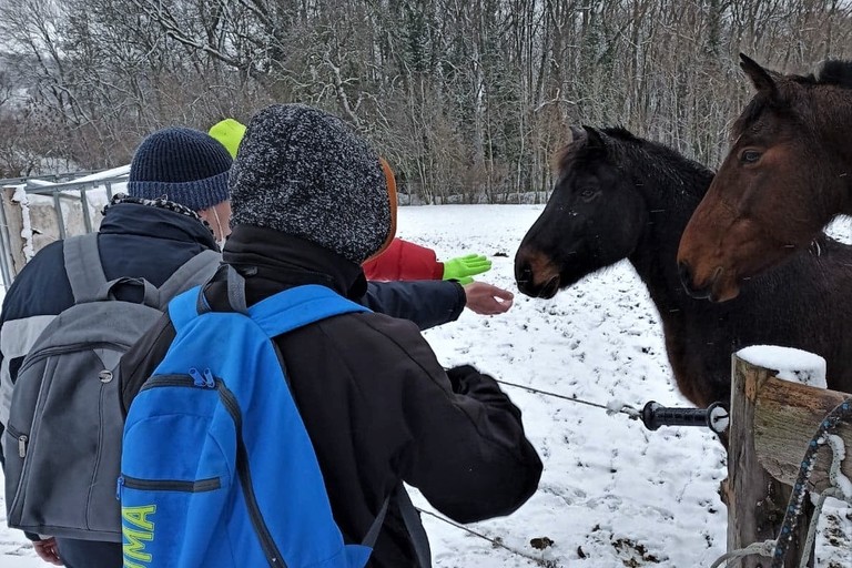 Litoměřická Diakonie s covidem v zádech