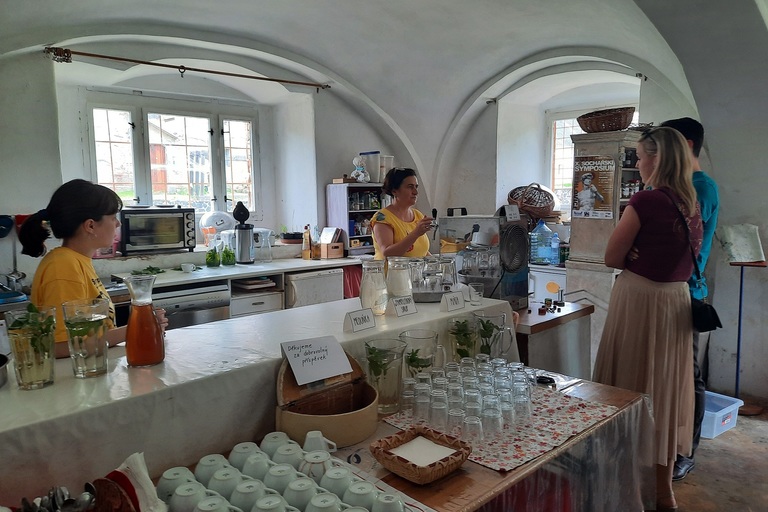 Setkání v Řehlovicích 2021