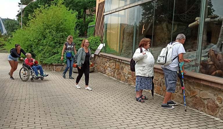 S dobrovolníky v zoo!
