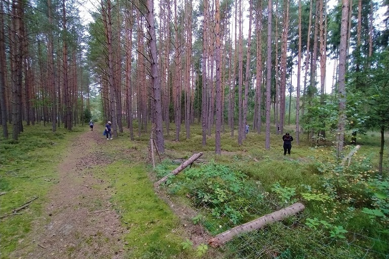 Houbaření v Doksech
