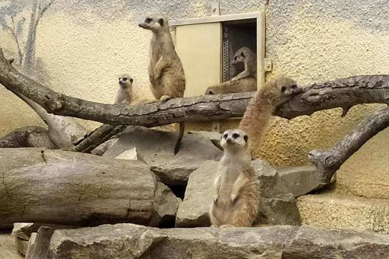 S dobrovolníky v zoo!