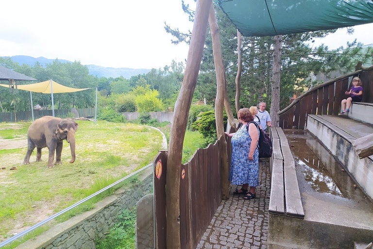 S dobrovolníky v zoo!