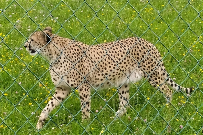 S dobrovolníky v zoo!