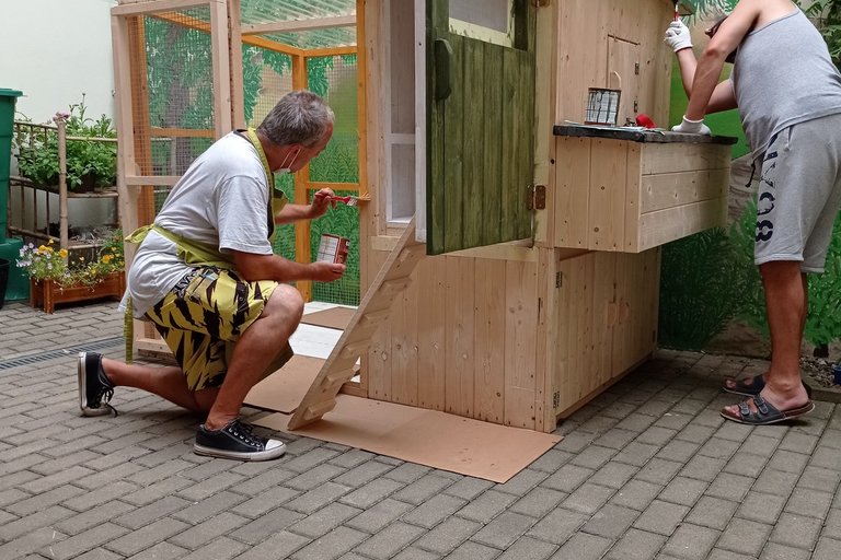 Koko aneb komunitní kurníček