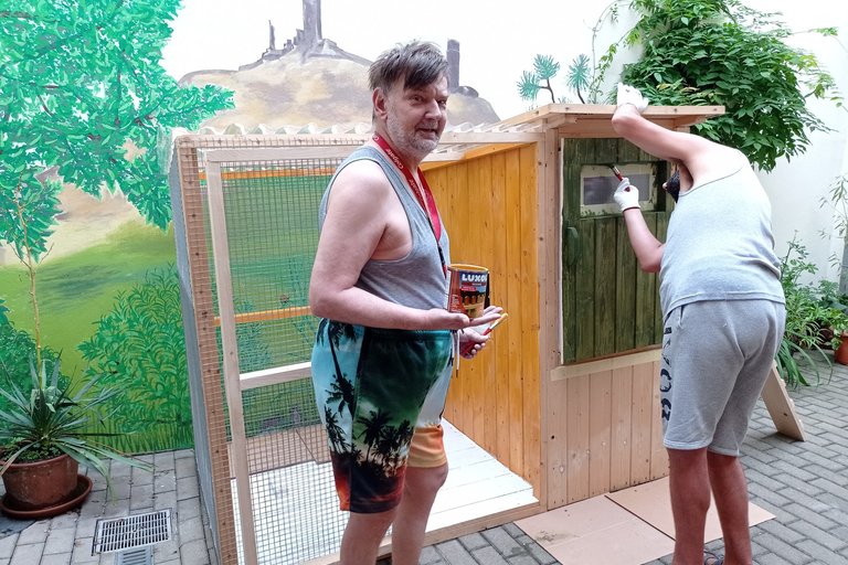 Koko aneb komunitní kurníček