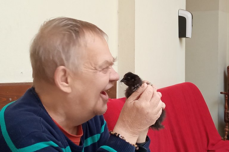 Koko aneb komunitní kurníček