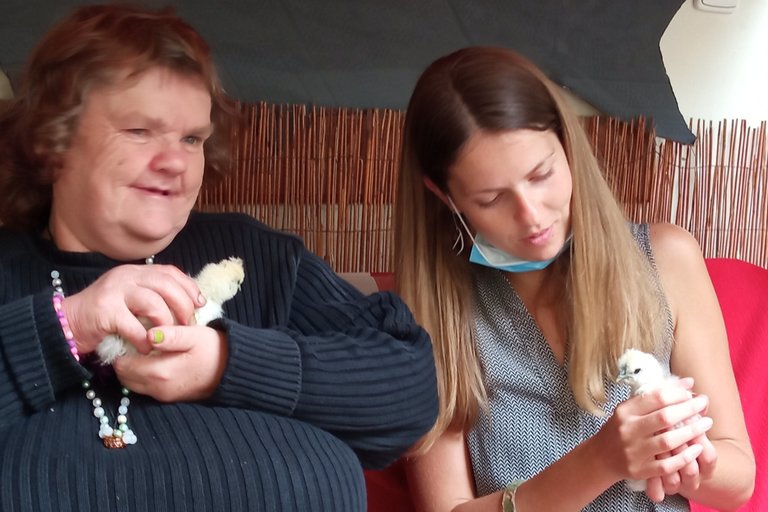 Koko aneb komunitní kurníček