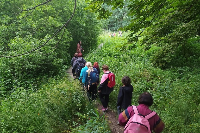 Léto s dobrovolníky