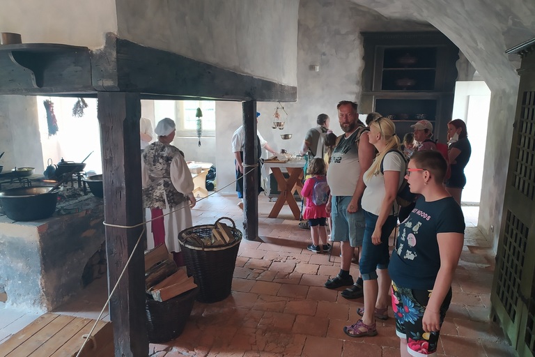 Léto s dobrovolníky