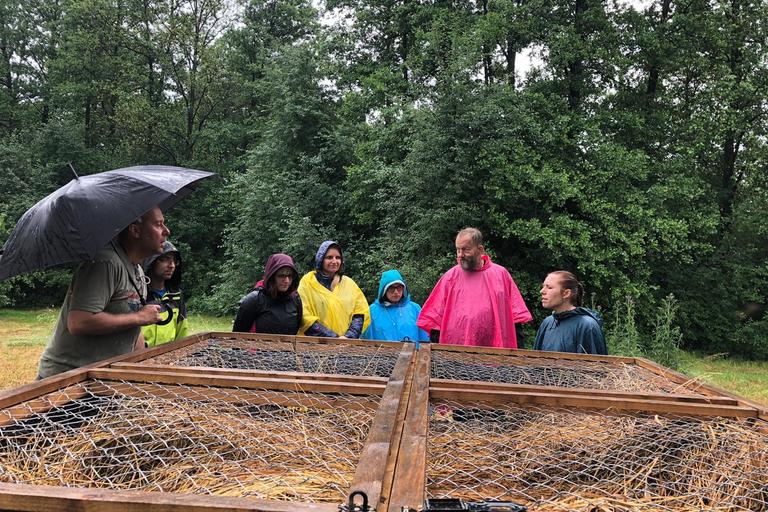 Léto s dobrovolníky