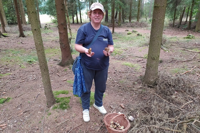 Houbaření v Doksech