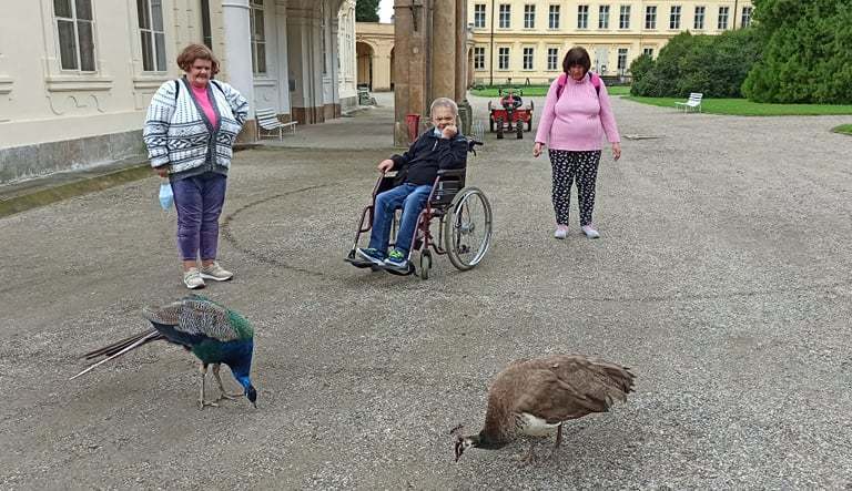 Výlet do Ploskovic
