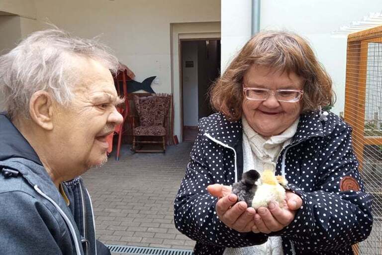 Novinky z kurníku!