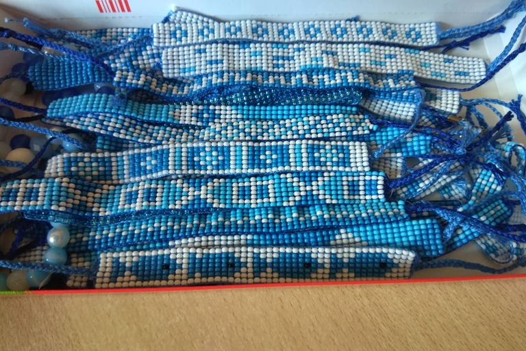 Výlety s dobrovolníky