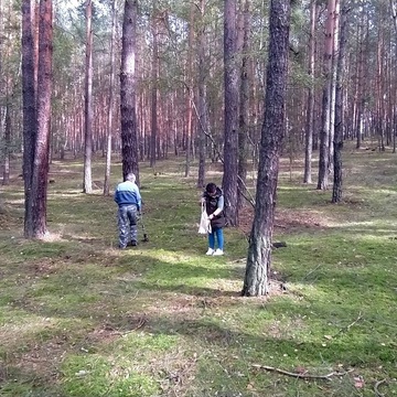 Chráněné bydlení na houbách